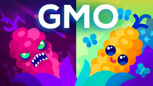 Генното инженерство и храната ни, ГМО лошо ли е за здравето ни?