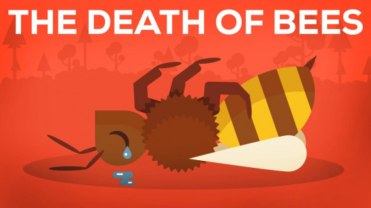 Измирането на Пчелите – Паразити, Отрови и Хора